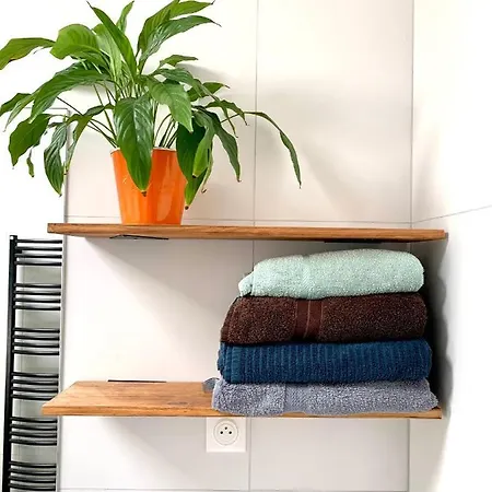 Beau 81m2 Troyen A 2m De La Gare * טרואה